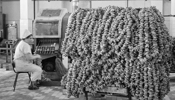 At a wool spinning factory in Moscow (1967)