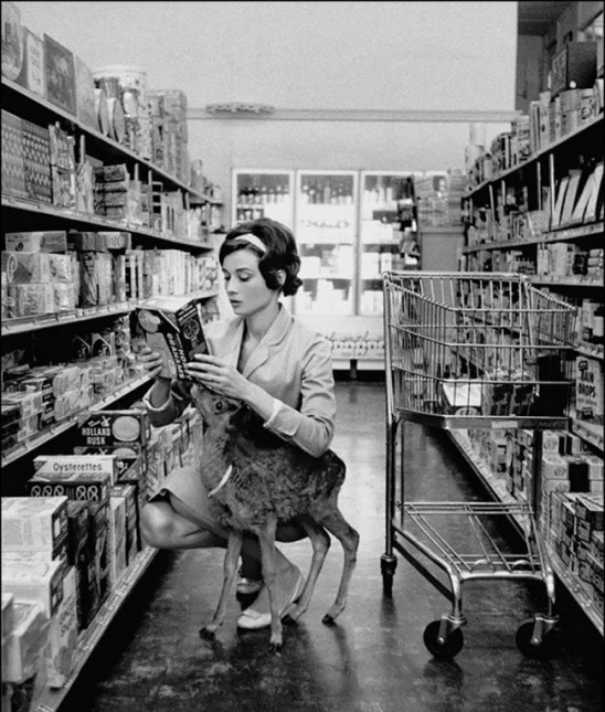 Audrey Hepburn geht mit ihrem Reh einkaufen (Beverly Hills, USA, 1958).