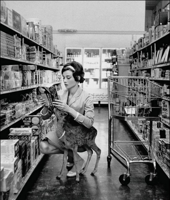 Audrey Hepburn shopping in a supermarket with her pet deer in Beverly Hills (USA) in 1958.