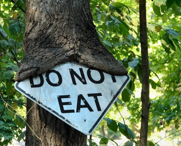 3. El arbol no ha leido el cartel