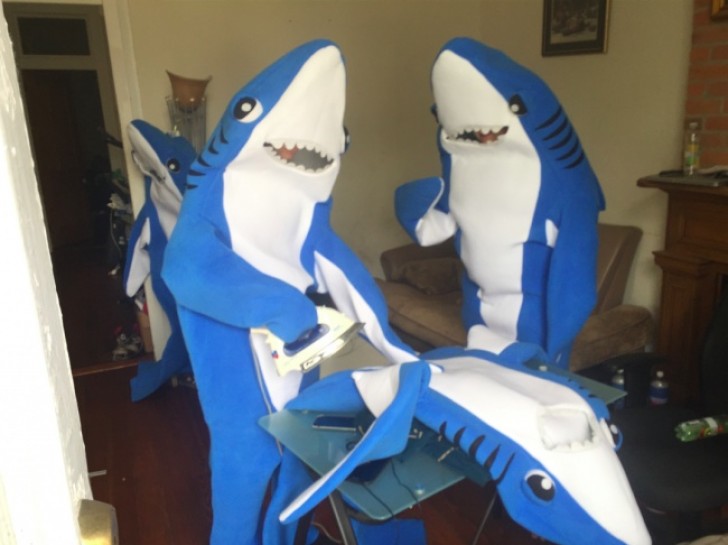 Das passiert, wenn man einen Mann zuhause hat, der Hai-Kostüme verkauft...