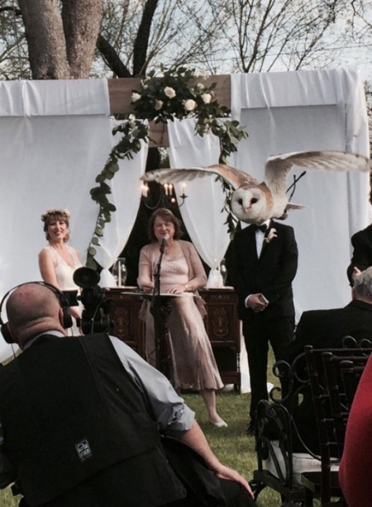 14. A wedding ceremony with an expected special guest!