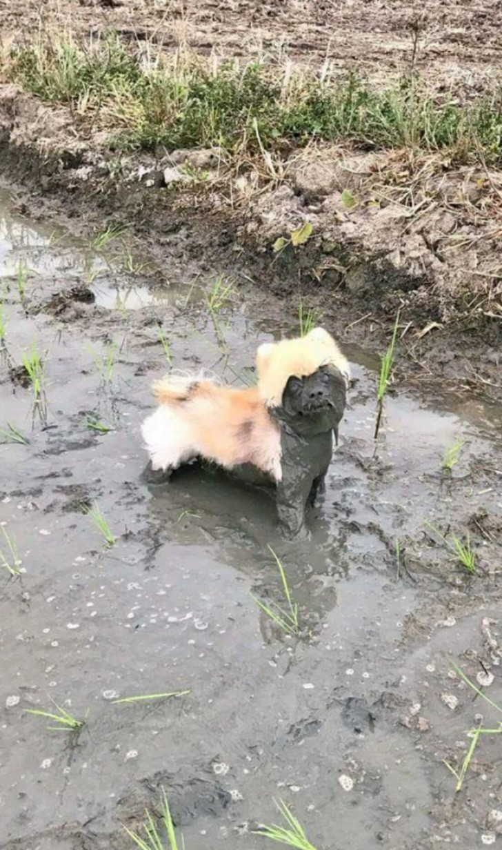 Ele recém tinha tomado banho..