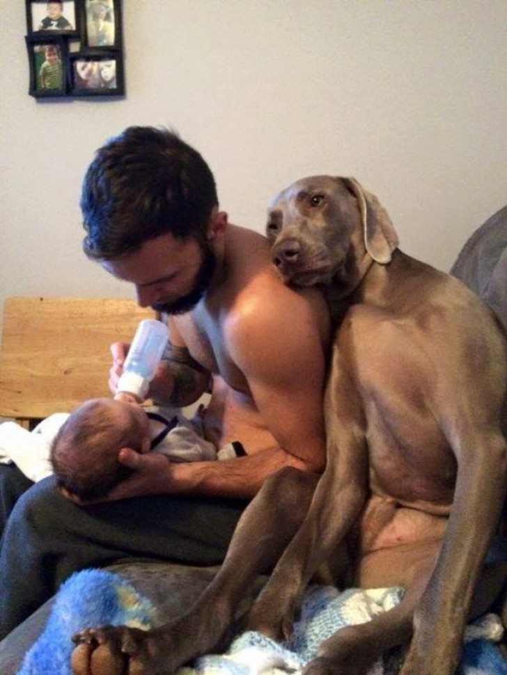 "La sensacion que tienes cuando te das cuenta que no eres mas el unico niño de la familia".