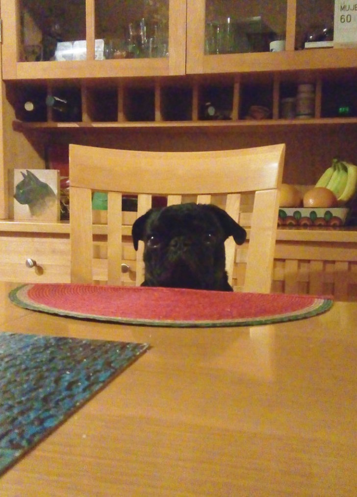 Hey oh, moi aussi je suis à table!