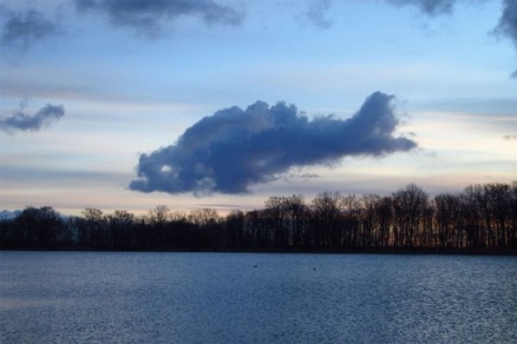 Una nube que pretende de ser un pez