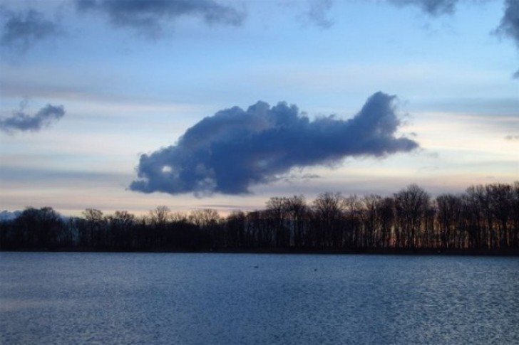 Eine Wolke, die so tut als sei sie ein Fisch.