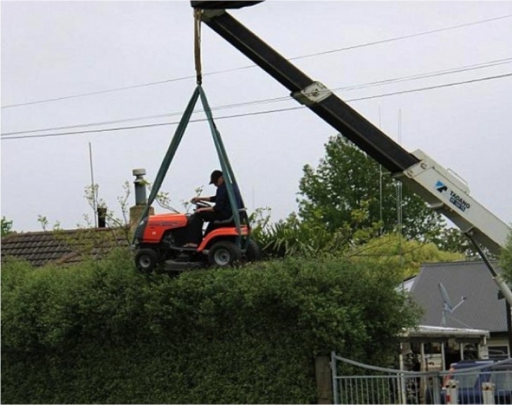 1. Die Hecke muss von einem anderen Winkel aus beschnitten werden, um das perfekte Ergebnis zu erreichen.