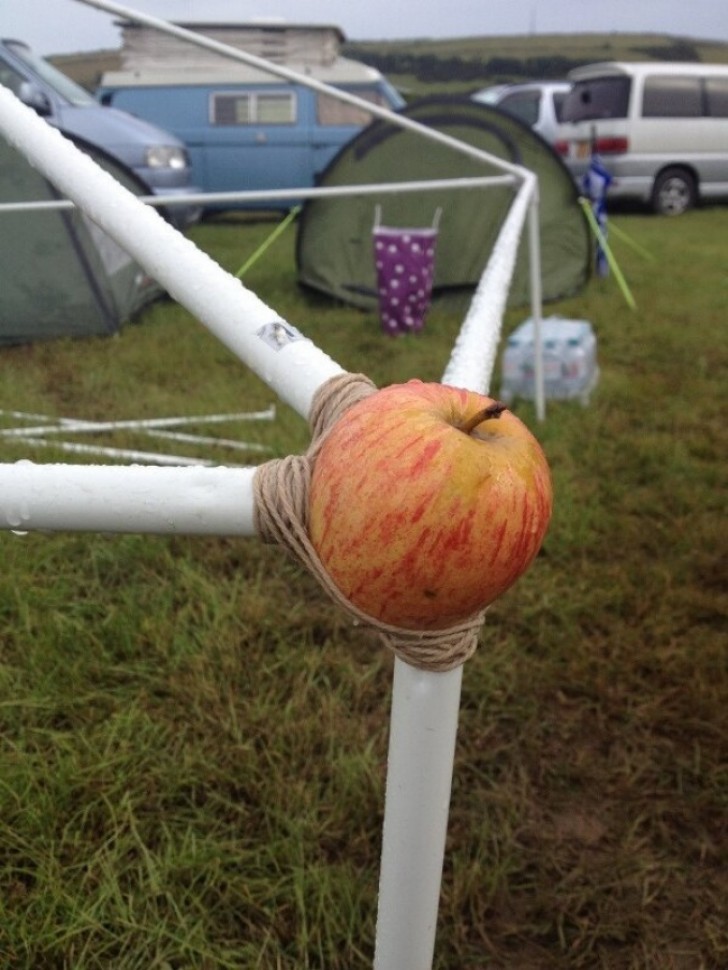 16. When an apple has other purposes than those normally imagined ...