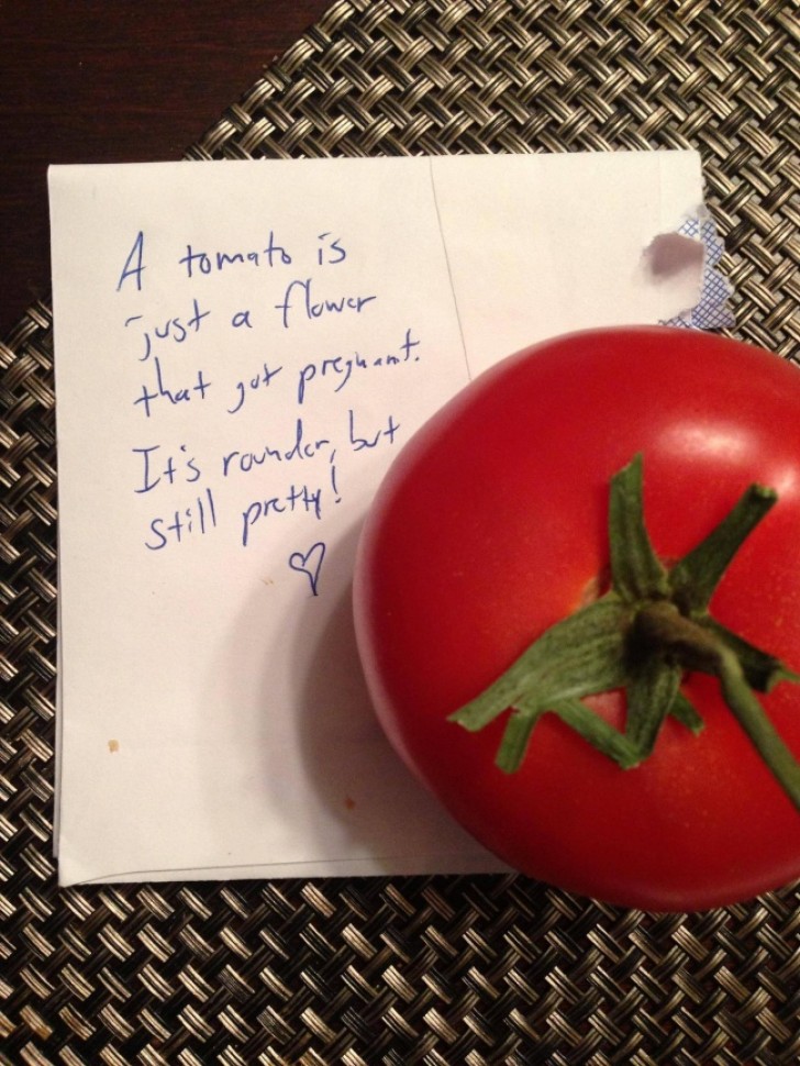 17. "A tomato is just a flower that got pregnant. It is rounder, but still pretty!"
