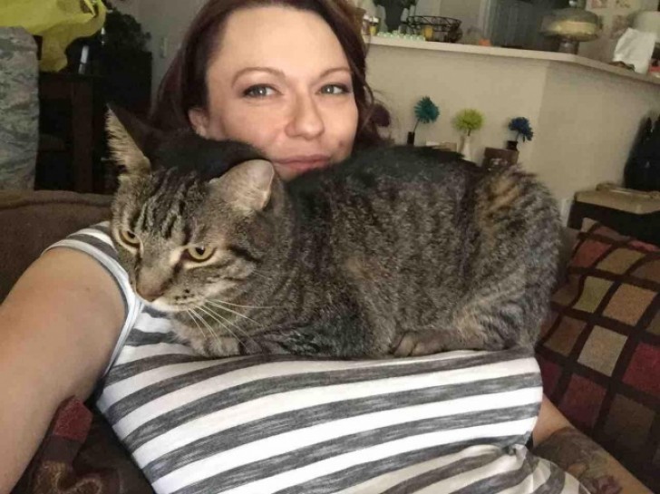 2. "My cat is happier than ever ... Since I got pregnant, she started using me as an armchair!"