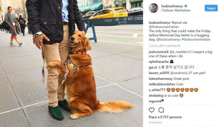 La notoriété du chien ne s'est pas arrêtée aux rues de New York...