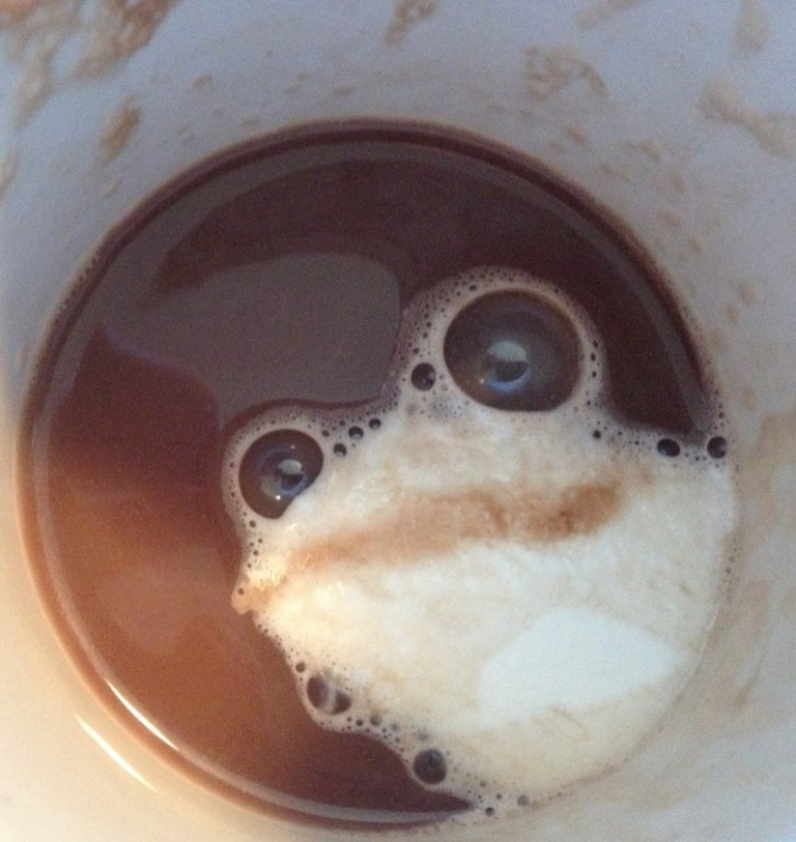 Una rana spunta dal caffè.