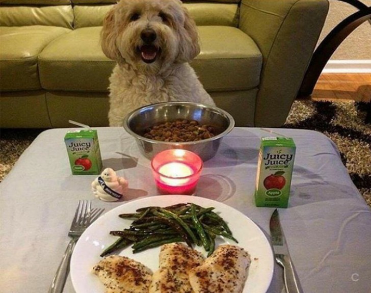 A candlelight dinner for an unusual duo!