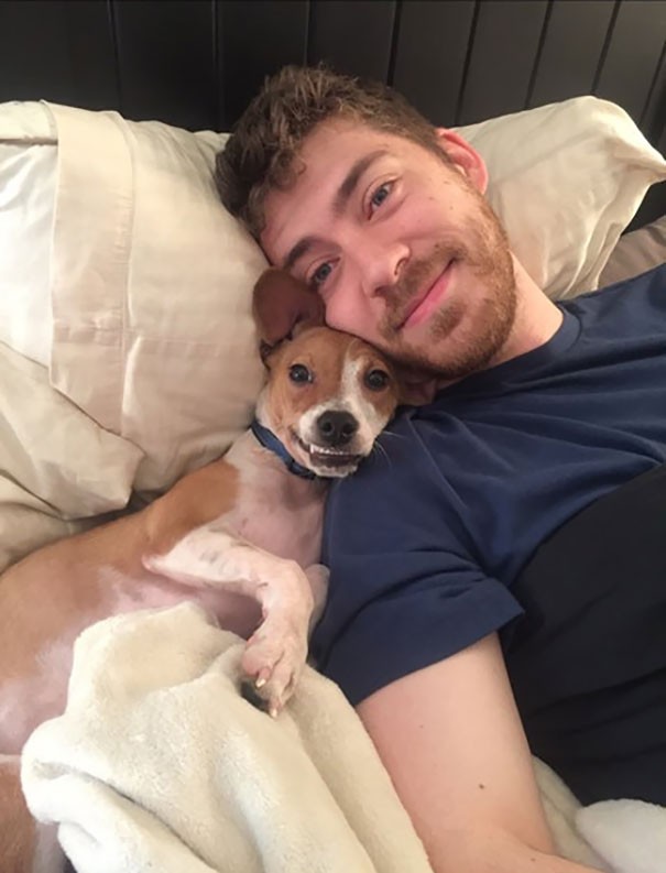 Le sourire béat d'un chien qui a réussi à grimper sur le lit!