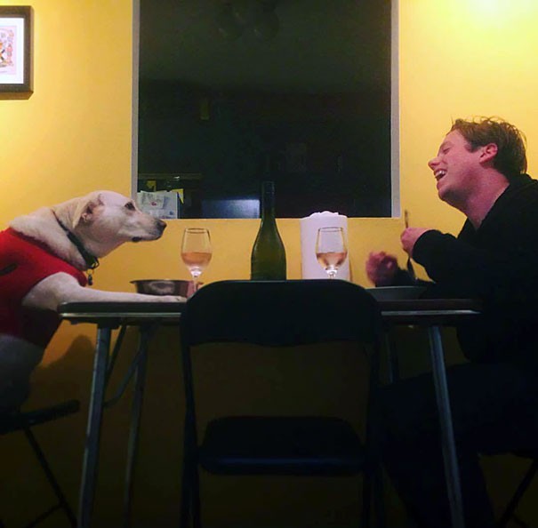 My wife is gone for the weekend, so my dog ​​and I could finally have dinner together that we have had to put off for so long!