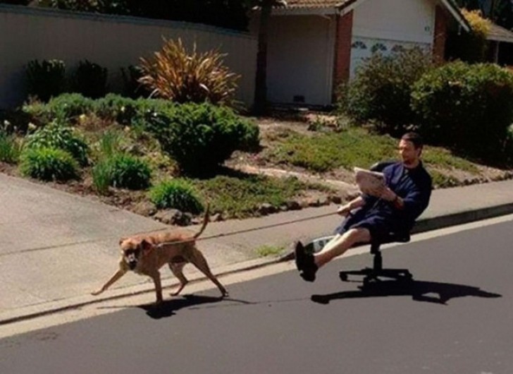 Quando o cachorro te leva para passear!