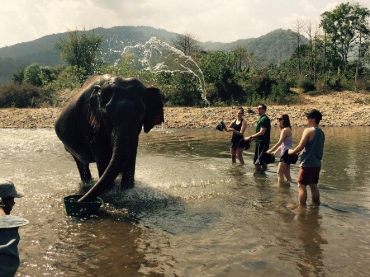 Observez attentivement la forme de l'eau du seau...