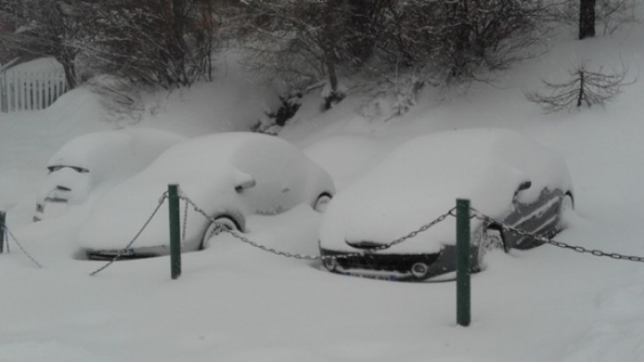 The car on the left seems rather upset and embittered.