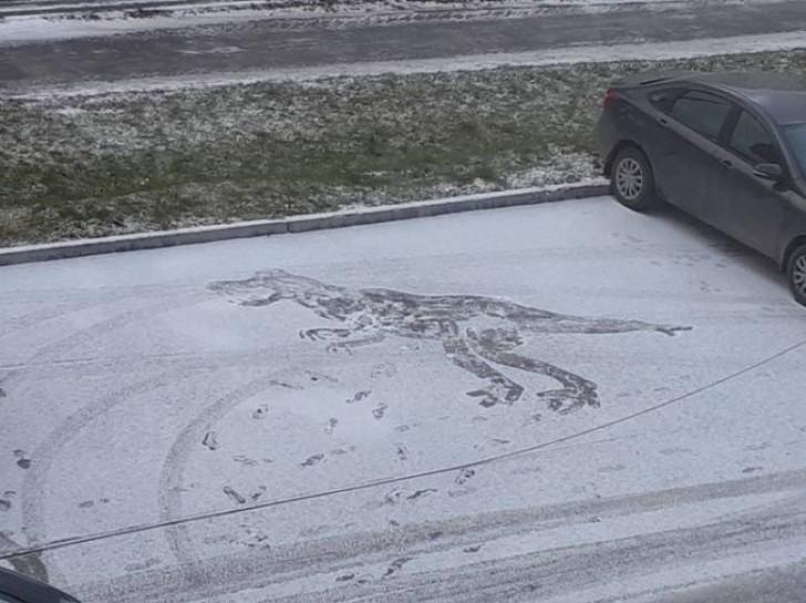 Quand il neige et qu'on n'a pas personne avec qui faire une bataille de boules de neige.