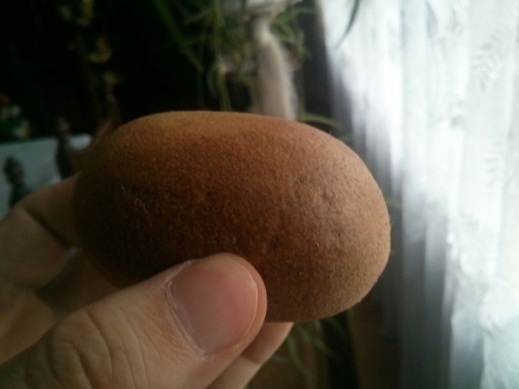 Heb je er weleens aan gedacht een kiwi af te pellen uit verveling?