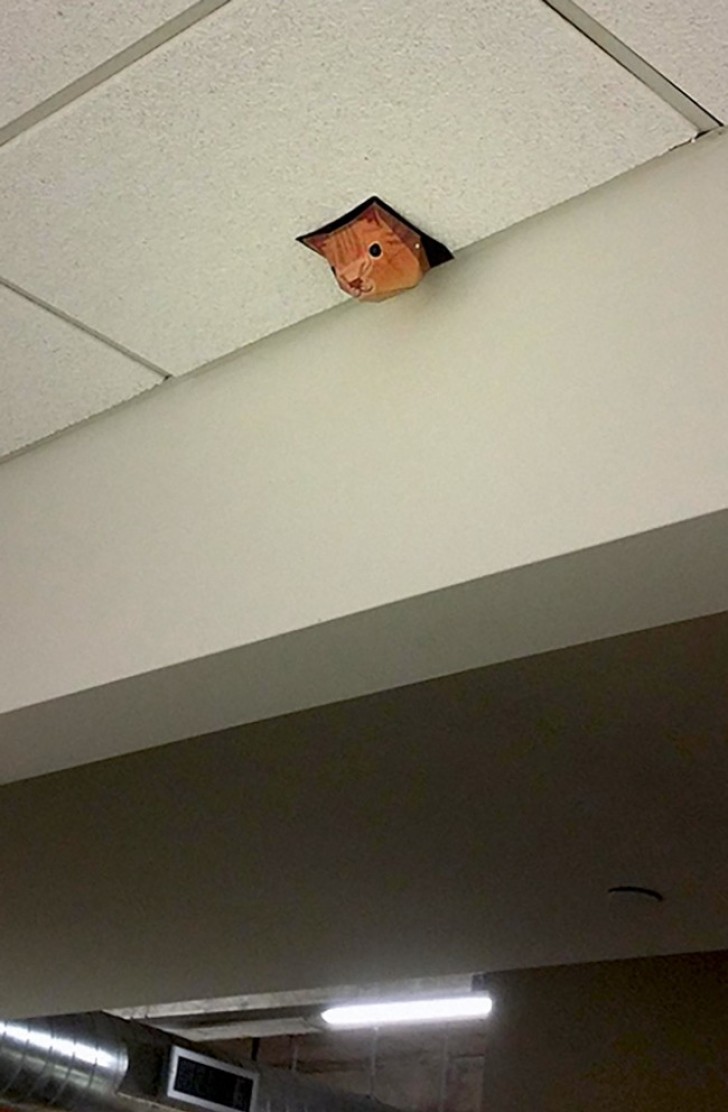 Make a hole in the ceiling interesting.