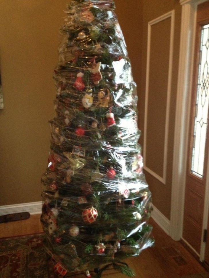 Enveloppez le sapin de Noël pour le garder à l'abri des pattes destructrices.