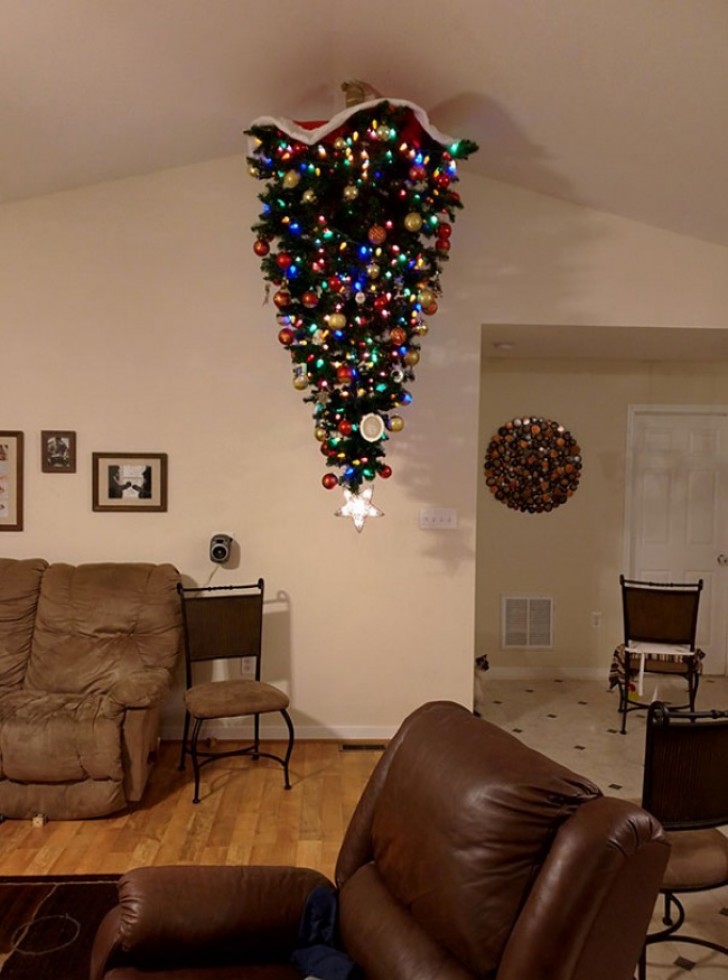 A jump-proof Christmas tree!