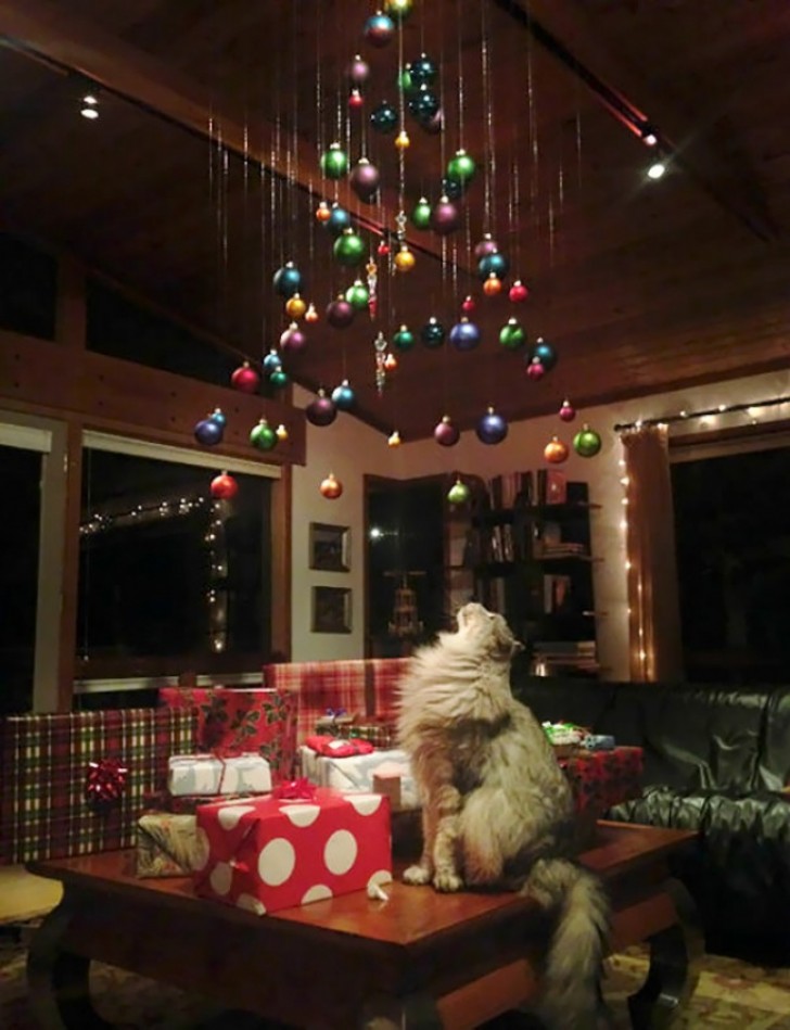 No tree and only Christmas decoration balls hanging from the ceiling.
