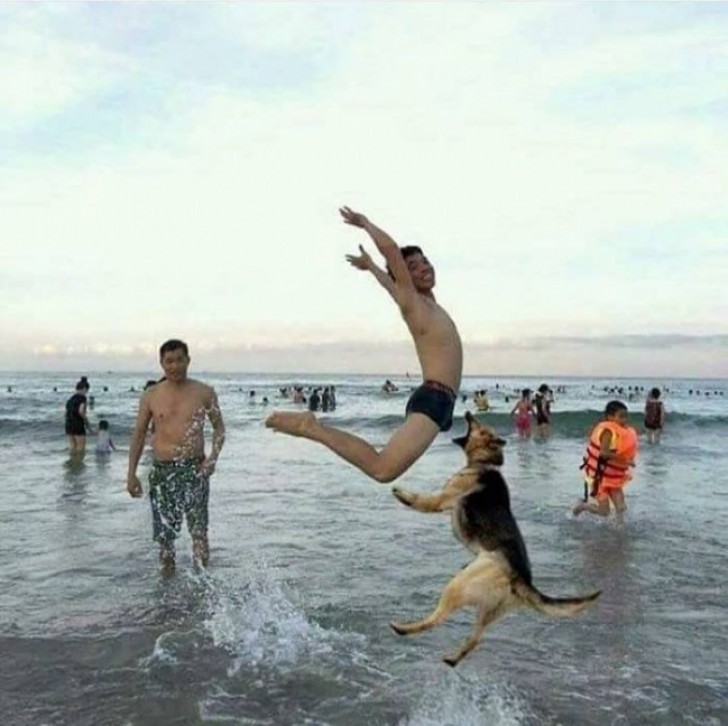 Le chien va bientôt faire pouet-pouet! :-O