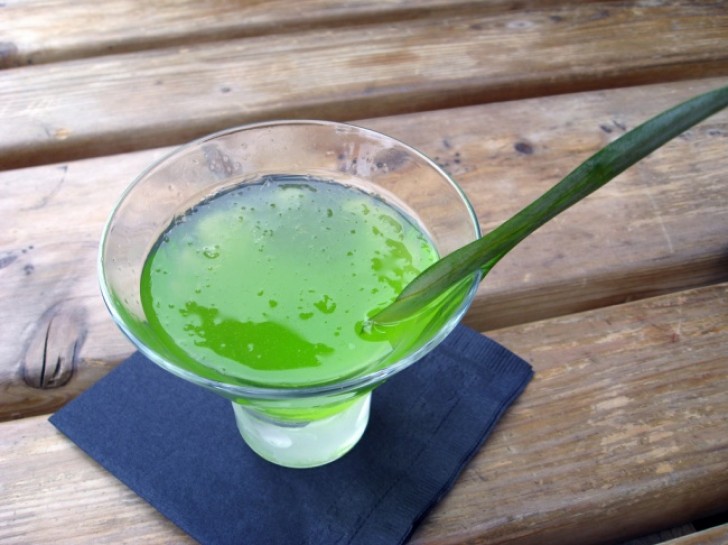 1. Der Saft der Aloe Vera