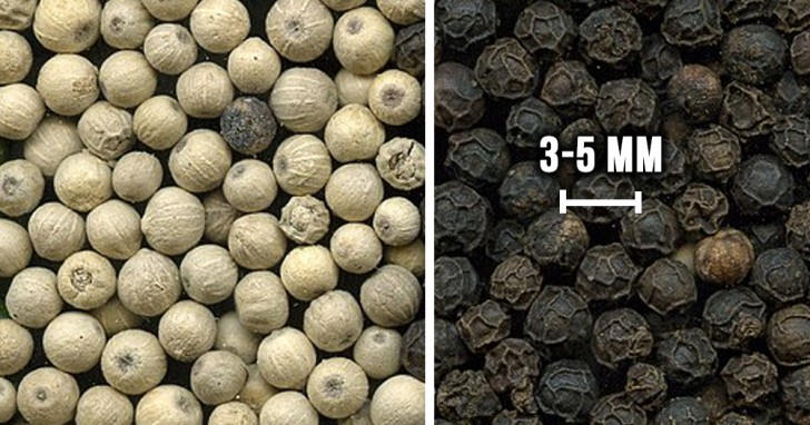 Le poivre noir a des grains de 3 à 5 mm de diamètre avec des plis sur la coquille, tandis que le poivre blanc n'a pas de pellicule et devient couleur café.