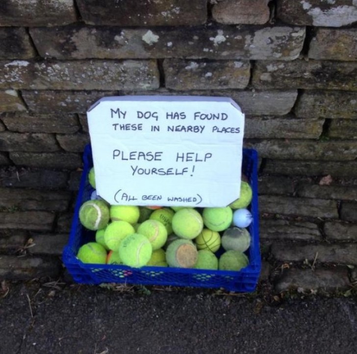 16. Mi perro ha coleccionado estas pelotitas en el parque: por favor, llevenlas, (fueron lavadas!)