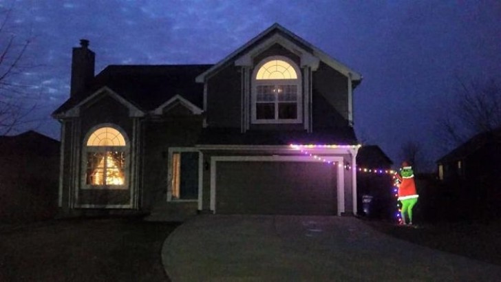 If covering your house with lights is not for you, here is an exceptional idea.