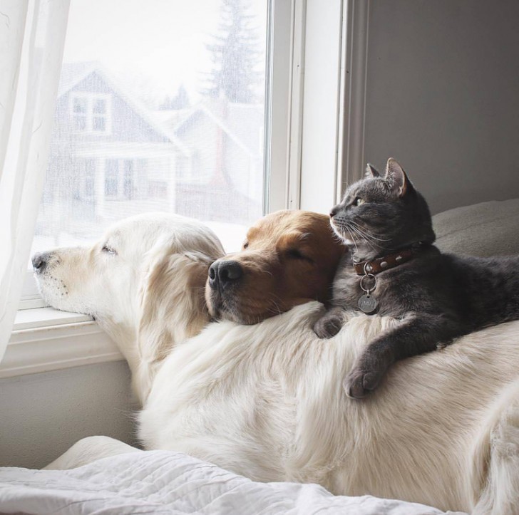 A rainy day at the window.