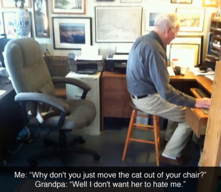 Mi padre no se sienta sobre la silla mas comoda para no enemistarse con el gato.