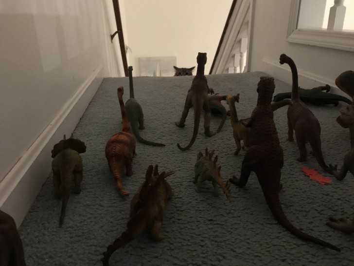 A way to keep a cat downstairs? Engage an army of dinosaurs that look ready to attack.