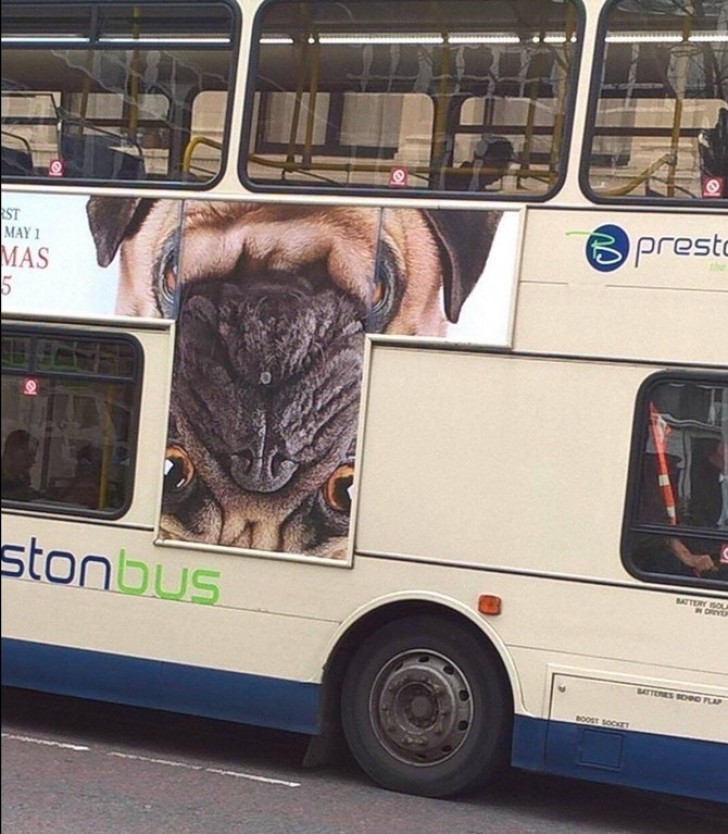 Something must have gone wrong when this advertisement was mounted on this bus!