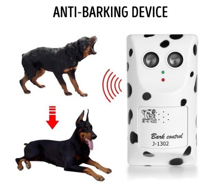 3. This device is so effective that even the breed of the dog has changed ...