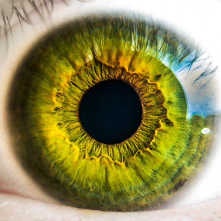 4. L'occhio umano possiede una risoluzione di circa 500 megapixel.