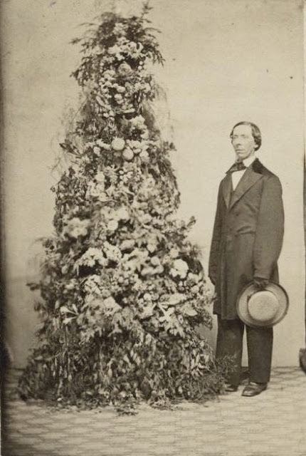Ein Mann und sein Weihnachtsbaum, 1860