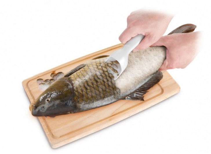 Do you hate to remove the scales from fish? This fish scraper will do it for you quickly and more effectively.