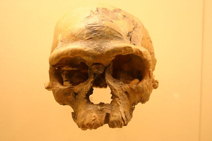 A seguito della datazione dei fossili, si è fatta chiara la necessità di rivedere le date fino ad allora accettate per la differenziazione dell'uomo moderno in Africa.