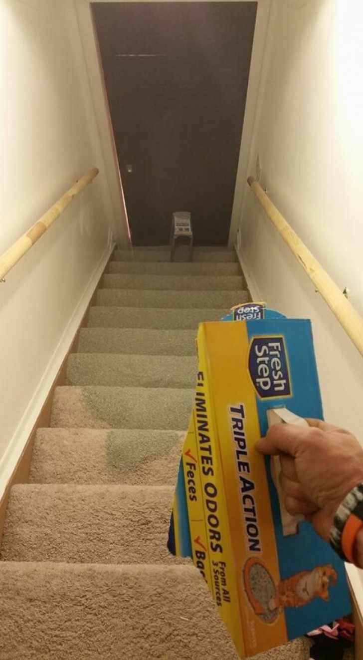 The handle of the cat litter box gave way and the cat litter spilled all over the stairway carpet.