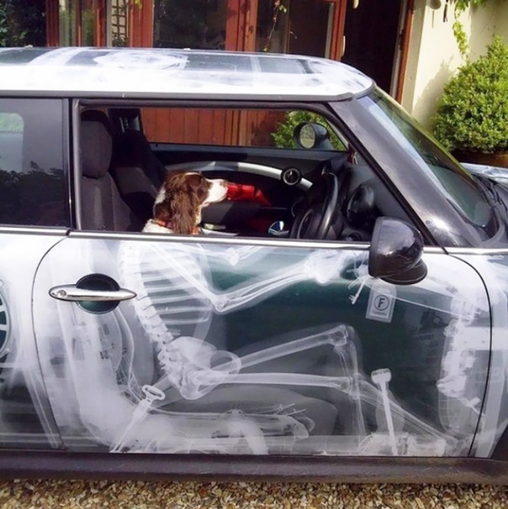 Interesting external image with the family dog in the passenger's seat ...