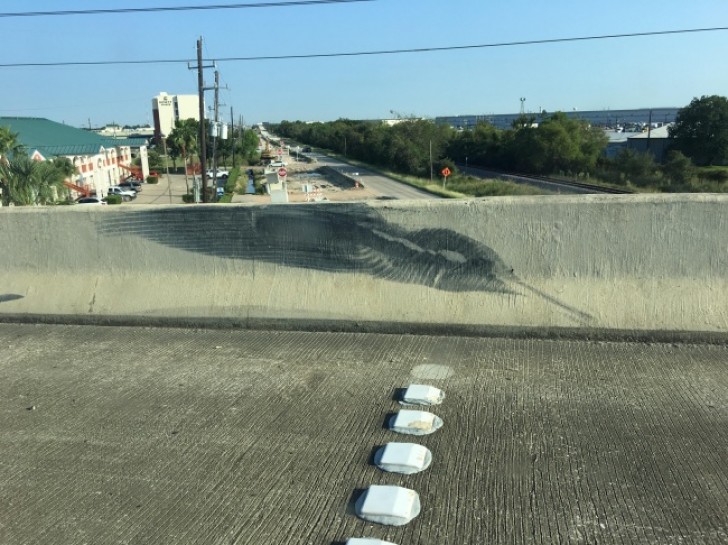 These tire tracks look like ... a hummingbird!