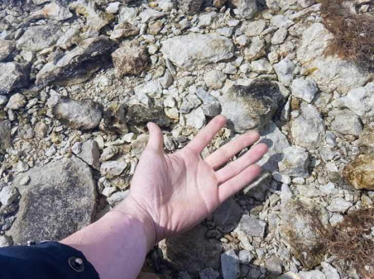 The water in a Swedish stream is so clear that ... you only notice it from the light line on his wrist!