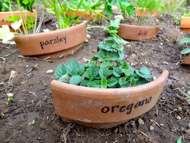 Eine schöne (und einfache) Idee für Gartenliebhaber.