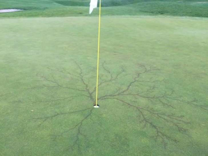 This pole on a golf course was struck by lightning.