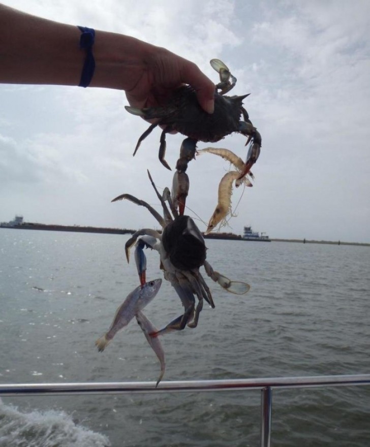 One man caught a crab, which in turn caught another crab, which caught a two fish!